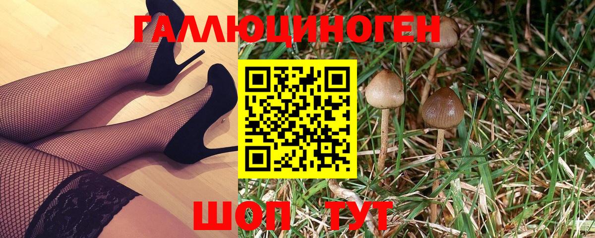 Псилоцибиновые грибы Magic Shrooms  Вход с VPN  Белебей  Псилоцибиновые грибы Psilocybe 